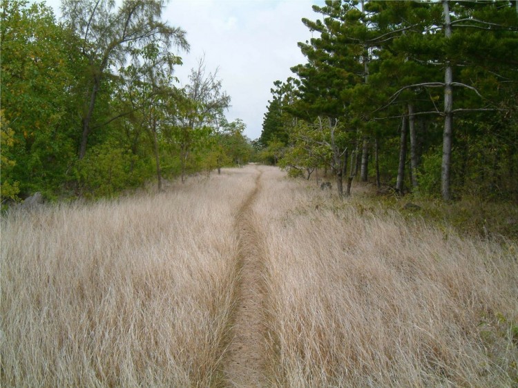 mauritius-202349_1280