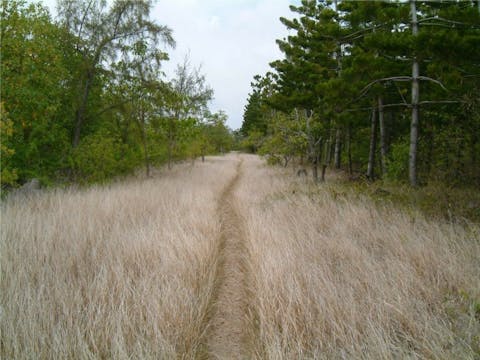 mauritius-202349_1280