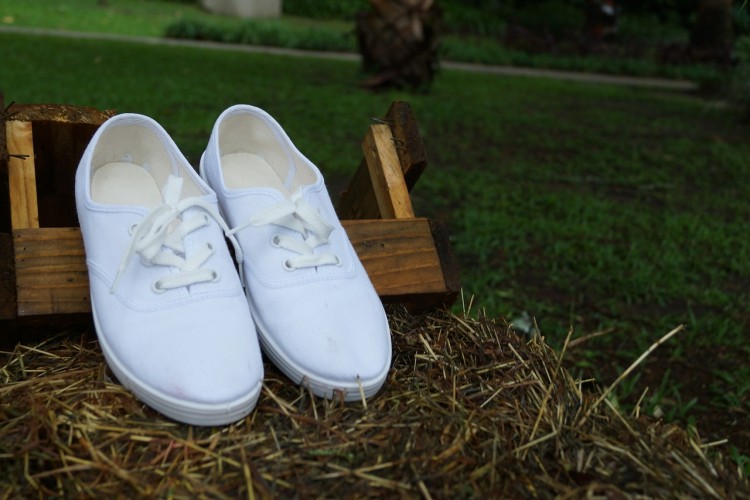 pisahuevos-543408_1280