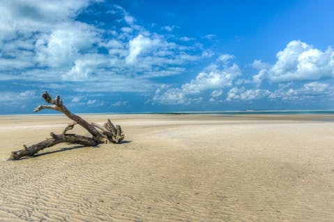 Best Places To See In Mozambique Before You Die