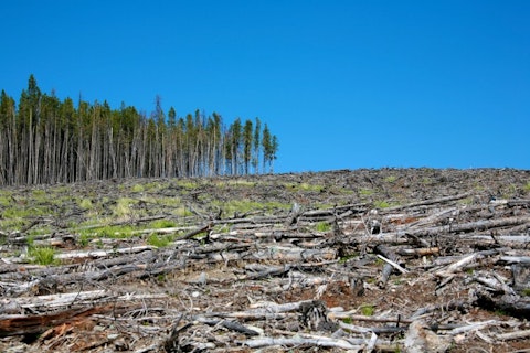 Countries with the Highest Deforestation Rates in the World