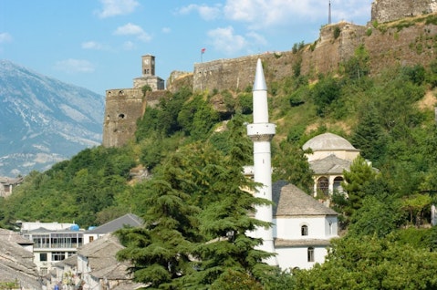 ollirg/Shutterstock.com