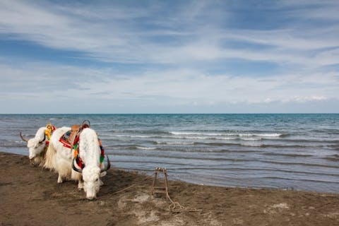 long8614/Shutterstock.com