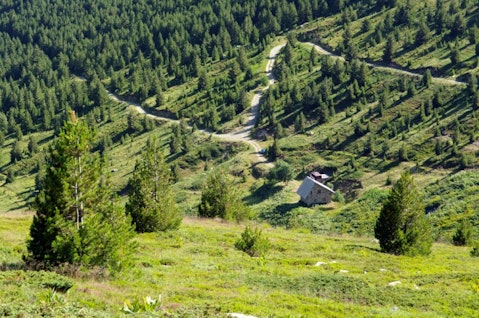 ollirg/Shutterstock.com