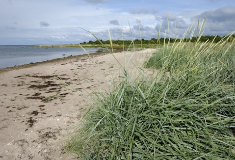 Best Places to Visit in Estonia that are Safe and Beautiful