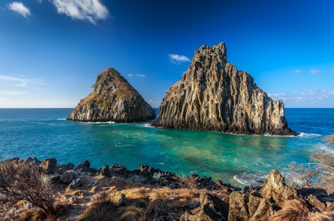 10 Most Biodiverse Countries in the World