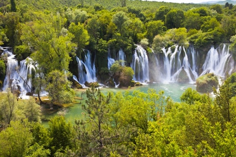 Tom Roche/Shutterstock.com