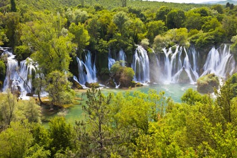 Tom Roche/Shutterstock.com