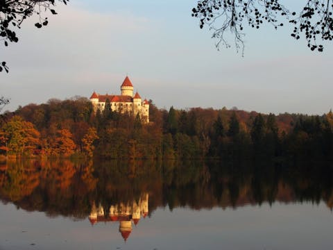 DaCek/Shutterstock.com