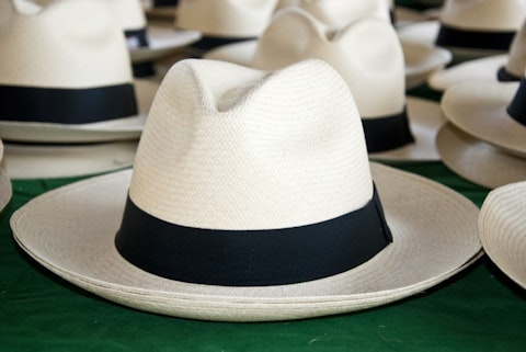 Andreea Dragomir/Shutterstock.com