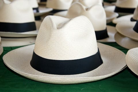 Andreea Dragomir/Shutterstock.com