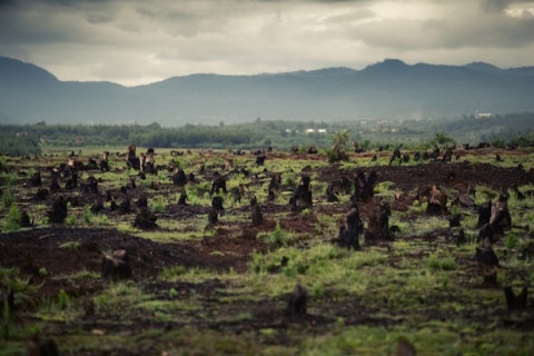 Countries with the Highest Deforestation Rates in the World