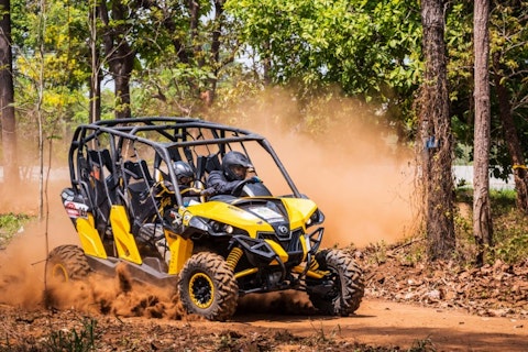 nuwatphoto / Shutterstock.com