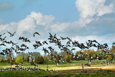 Best Places to Visit in Estonia that are Safe and Beautiful