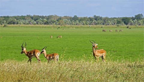 Best Places To See In Mozambique Before You Die