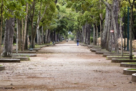 Tomasz Pado/Shutterstock.com