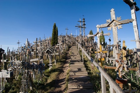 Birute Vijeikiene/Shutterstock.com