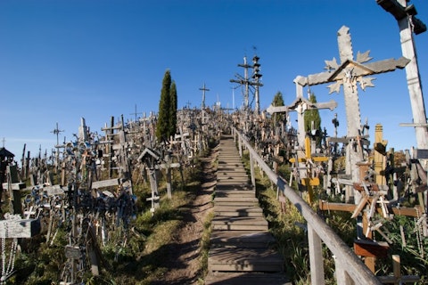 Birute Vijeikiene/Shutterstock.com