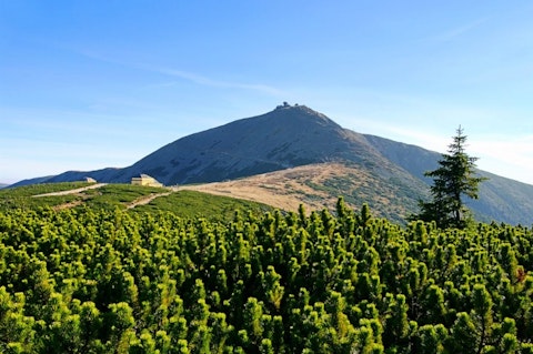 LianeM/Shutterstock.com