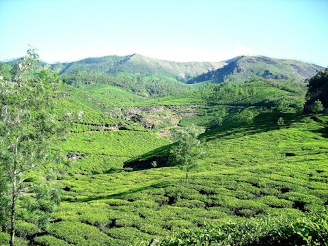 Best Places To See in India Before You Die