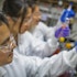 Birchview Capital's Top Healthcare Stock Picks