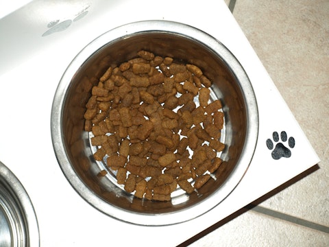 15 High Quality Dry Dog Food Brands in the US