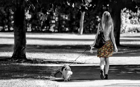 30 Most Profitable Side Hustles to Make Extra Money