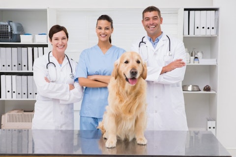 11 Highest Paying States for Veterinarians