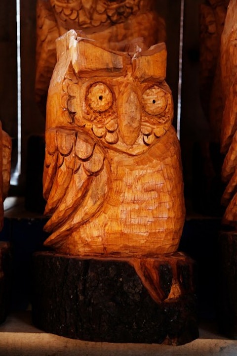 Illuminati Symbols and their Origins - Owl
