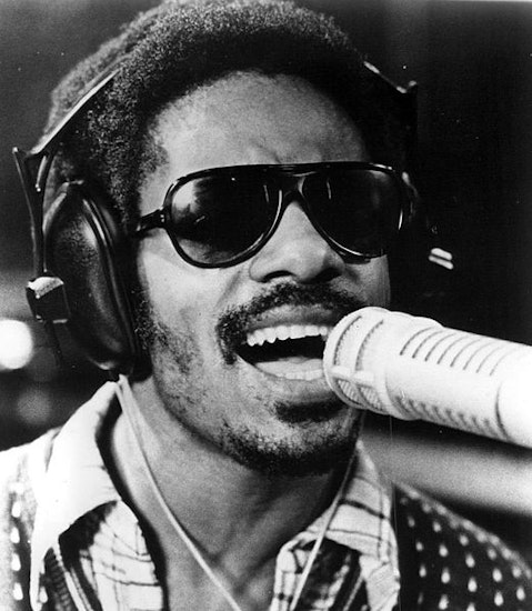 Majorly Successful People with Disabilities Stevie Wonder