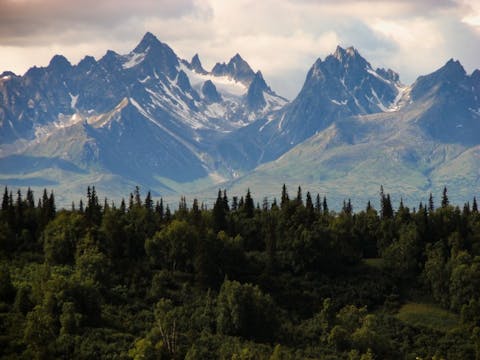 Countries With The Most Forests In The World- Canada