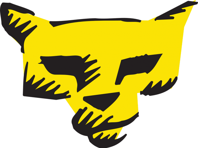  Best Selling DVDs of All Time The Lion King