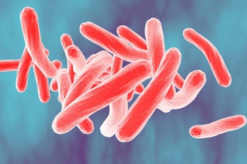 mycobacterium, bacteria, bacterium, closeup, sickness, micro, sepsis, three-dimensional, life, fighting, pathology, disease, epidemic, rod-shaped, medicine, macro,
