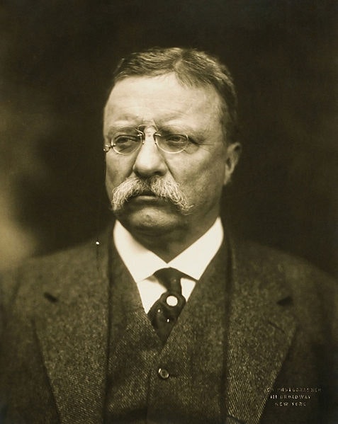  Most Popularly Elected US Presidents Theodore Roosevelt (Republican)