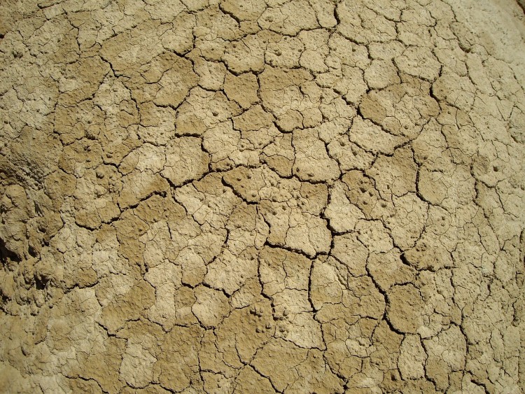 Most Expensive Natural Disasters in the World Heat wave, U.S. (1980)