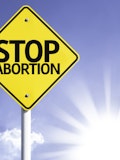 11 Countries with Highest Abortion Rates in the World