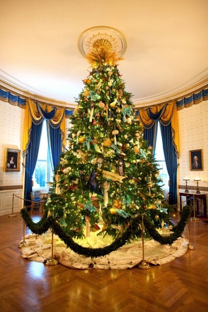 The Official White House Christmas Tree stands in the Blue Room of the White House, Dec. 4, 2010. (Official White House Photo by Chuck Kennedy) This official White House photograph is being made available only for publication by news organizations and/or for personal use printing by the subject(s) of the photograph. The photograph may not be manipulated in any way and may not be used in commercial or political materials, advertisements, emails, products, promotions that in any way suggests approval or endorsement of the President, the First Family, or the White House.