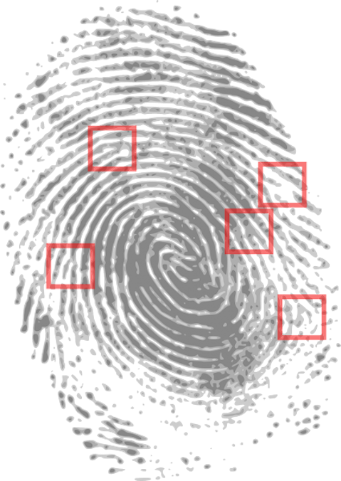 Most Dangerous States in America with Highest Violent Crime Rates - Tennessee