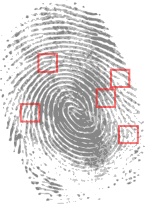 Most Dangerous States in America with Highest Violent Crime Rates - Tennessee