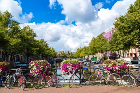 amsterdam, travel, street, dutch, outdoor, tree, tower, destination, historical, netherlands, holland, green, daylight, river, view, european, urban, landmark, summer, old, 11 Countries with the Best Reputation in the World