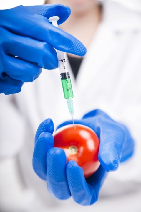 Examples of Genetically Modified Foods with Full Explanations 