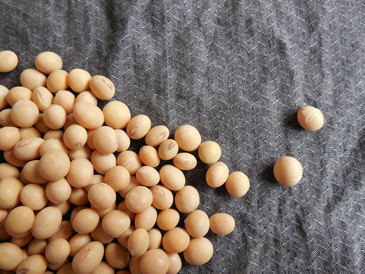 8 Countries that Produce The Most Soy Beans in The World