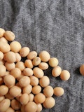 8 Countries that Produce The Most Soy Beans in The World