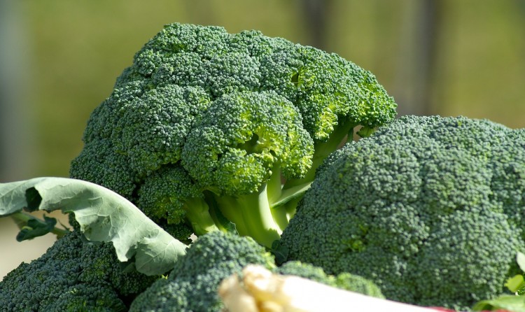 Most Consumed Vegetables In the US broccoli