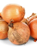 8 Countries that Produce the Most Onion in the World