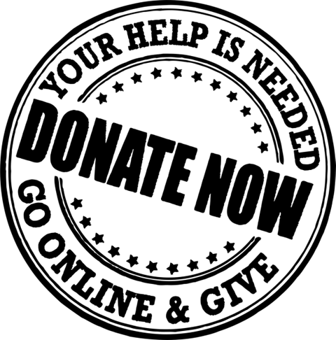 donate-Philanthropy Most Expensive Hobbies In the World