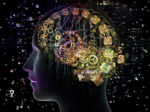 agsandrew/Shutterstock.com