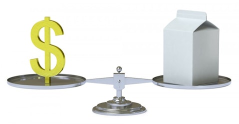 Pavel Ignatov/Shutterstock.com