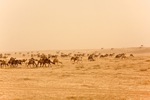 OPIS Zagreb/Shutterstock.com
