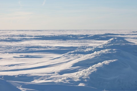 Yegor Larin/Shutterstock.com